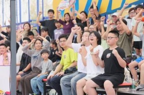 劲勇飞侠,热血江湖，传奇英雄的冒险之旅