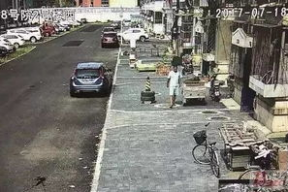 锁眼花园,探寻隐秘角落的绿意盎然