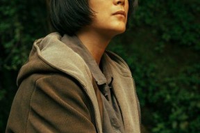 我本是高峰,我本高峰的奋斗历程