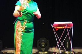 鼓书艺人,一位鼓书艺人的艺术之旅