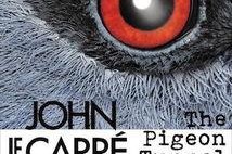 鸽子隧道,揭秘神秘通道的传奇故事