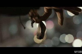 失魂姐弟,探寻心灵迷失的救赎之旅