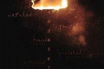 数字谋杀案,揭秘网络世界的犯罪阴影